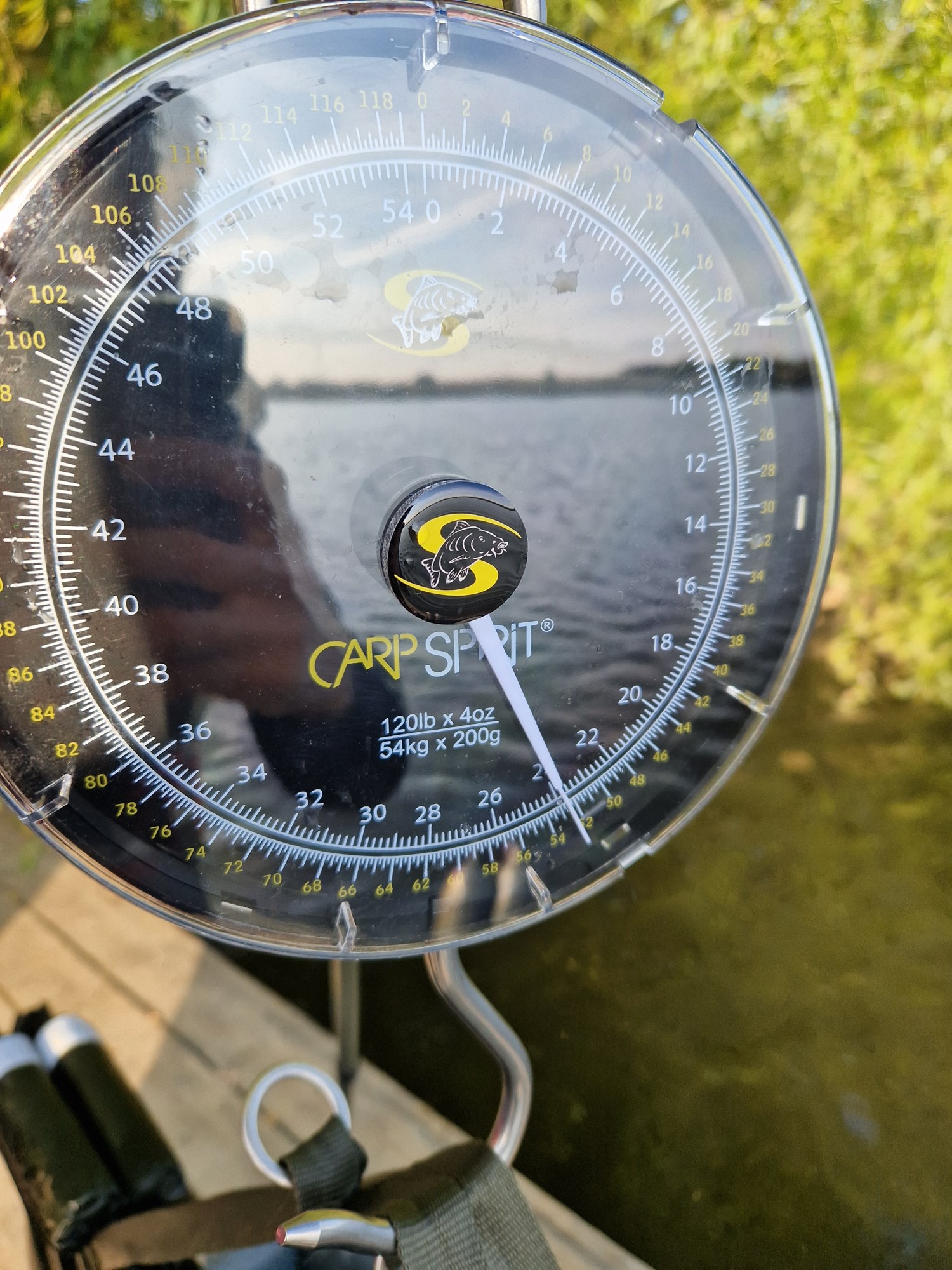 Tancabesti 13 octombrie 2022 - 20221015091159.jpg